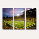 University of Oregon Ducks Football Team Print - Eugene