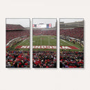 Wisconsin Badgers Team Print Canvas - Madison Camp Randall