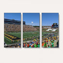 University of Missouri Tigers Football Team Print - Columbia