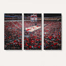 Louisville Cardinals Basketball Print Canvas - Louisville