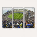 Boca Juniors Soccer Team Print Wall Art - Buenos Aires