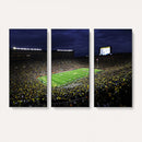 Michigan Wolverines Football Canvas Wall Decor, Football