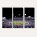 Buffalo Bills Wall Art - Buffalo Bills Stadium Canvas Print,