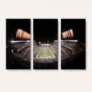 Eagles Field Stadium Wall Art - Lincoln Financial Field