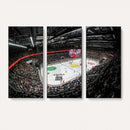 Vaudoise Lausanne Ice Hockey Arena Stadium Wall Art Canvas,