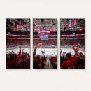 Carolina Hurricanes Ice Hockey Stadium Wall Art, Carolina