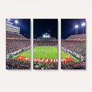 NC State Wolfpack Canvas Print - Raleigh Carter-Finley