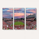 Carter-Finley Stadium Art Sunset Game Triple Canvas Wall Art
