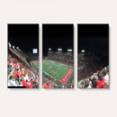 Houston Cougars Football Team Print - Houston TDECU Stadium