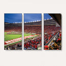 Wisconsin Badgers Football Team Print - Madison Camp Randall