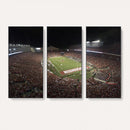 Wisconsin Badgers Football Team Print - Madison Camp Randall