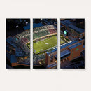 University of North Texas Mean Green Football Artwork,