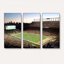 Darrell K Royal-Texas Memorial Stadium Canvas Wall Art -