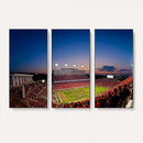 Wolfpack Football Team Wall Art Print - Raleigh
