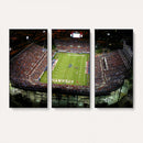 Florida Atlantic University Owls Football Team Print - Boca