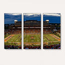 University of Illinois Fighting Illini Football Team Print -