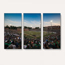 University of Charlotte 49ers Football Team Print -