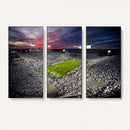 Penn State Nittany Lions Football Team Print - University