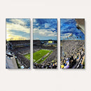 Framed USF Bulls Football Team Print - Tampa Raymond James