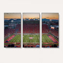 Arizona Wildcats Football Team Print - Tucson Arizona