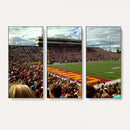 Central Michigan University Chippewas Football Team Print -