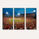 Clemson University Tigers Football Team Print - Clemson