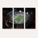 Michigan State Spartans Football Team Print - East Lansing