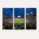 Michigan State Spartans Football Team Print - East Lansing