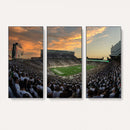 Michigan State Spartans Football Team Print - East Lansing