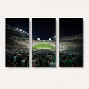 Framed Michigan State Spartans Football Team Print - East