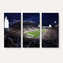 Michigan State Spartans Canvas, Framed Football Team Print -