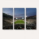 Michigan State Spartans Football Team Print - East Lansing