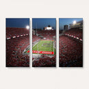 Ohio State University Buckeyes Football Team Print -