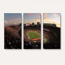 Ohio State University Buckeyes Football Team Print -