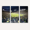 University of Oregon Ducks Football Team Print - Eugene