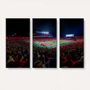 Rutgers Scarlet Knights Football Team Print - SHI Stadium,