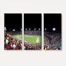 Stanford University Cardinal Football Team Print - Stanford