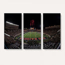 Framed Texas Tech Red Raiders Stadium Canvas, Texas Tech Red