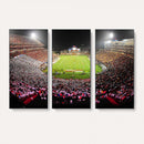 University of Maryland Terrapins Football Team Print -