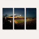 Ball State Cardinals Football Team Print - Muncie Scheumann