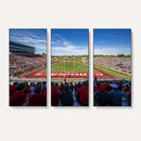 Ball State Cardinals Football Team Print - Muncie Scheumann