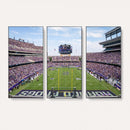 TCU Horned Frogs Football Team Print - Fort Worth Amon G.