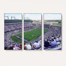 The Texas Christian University TCU Horned Frogs Football