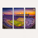 The Louisiana State University Tigers Football Team Print -