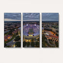 The Louisiana State University Tigers Football Team Print -