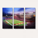 The University of Southern California USC Trojans Football