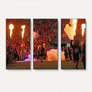 The University of Texas at San Antonio Roadrunners Football