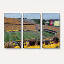Puskar Stadium Canvas Print Wall Art - Morgantown Print -