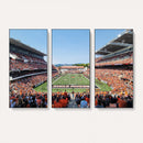 Oregon State Beavers Football Team Print - Corvallis Reser