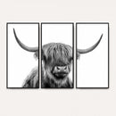 Scottish Highland Cow Cattle Art Print Wall Art Canvas Print